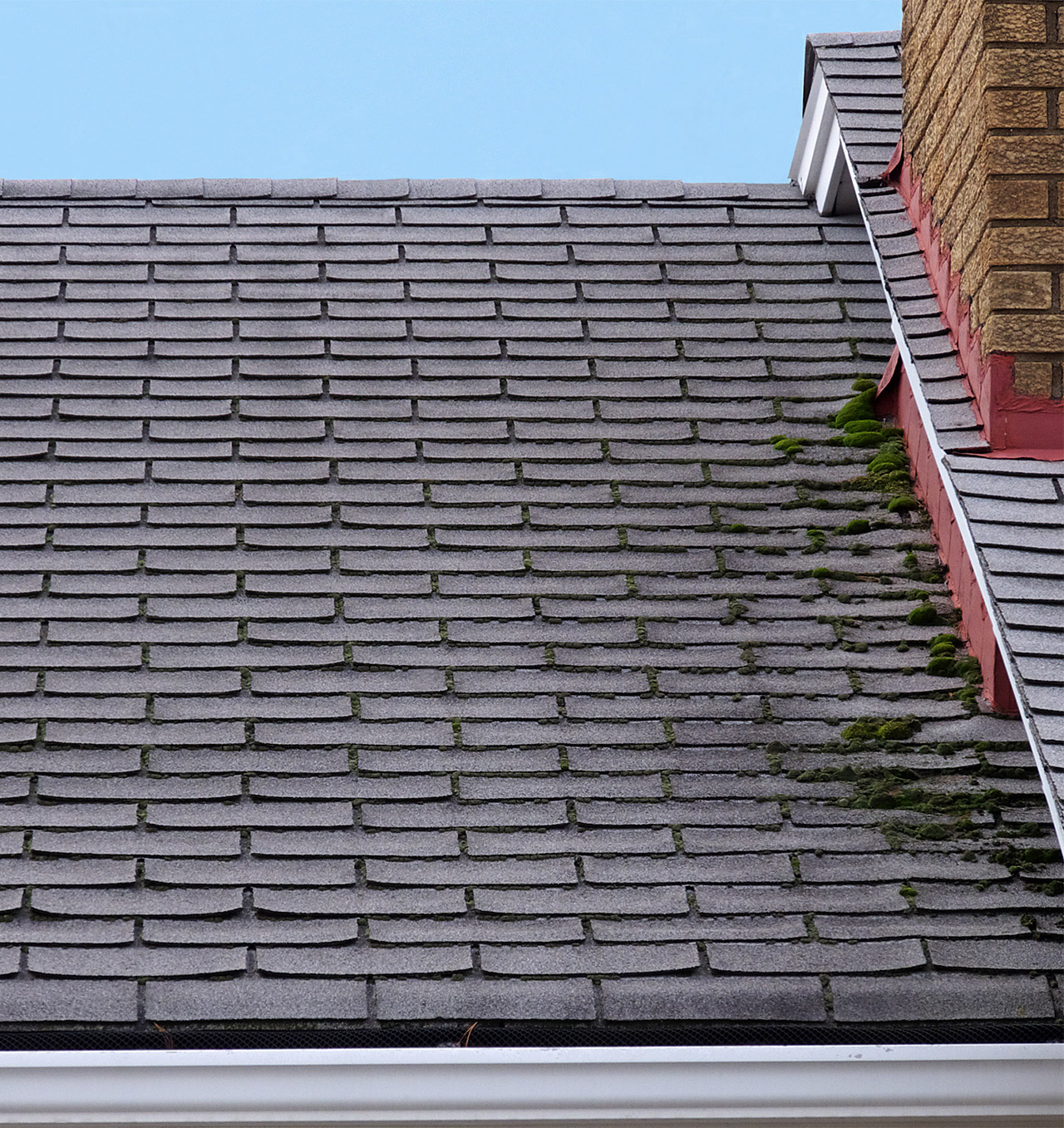 common-roof-shingle-problems-addressed-by-badger-contracting